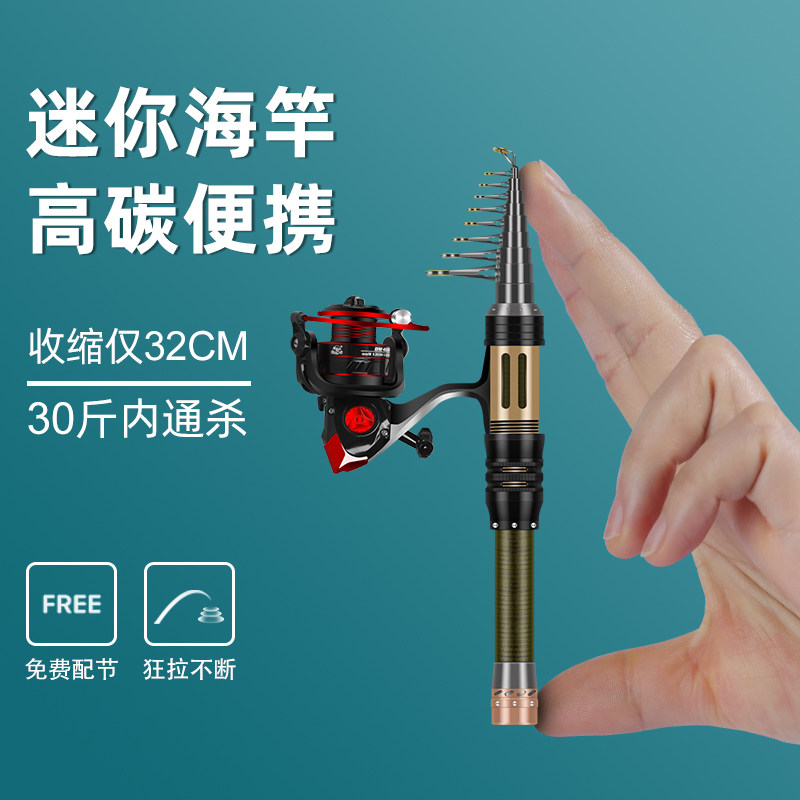 名伦旗舰迷你小海竿超轻硬