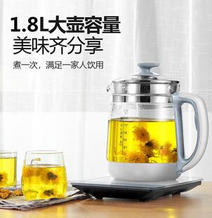 养6877生壶全自动家用花茶多壶功能办公璃室小型养身茶煮器高硼硅