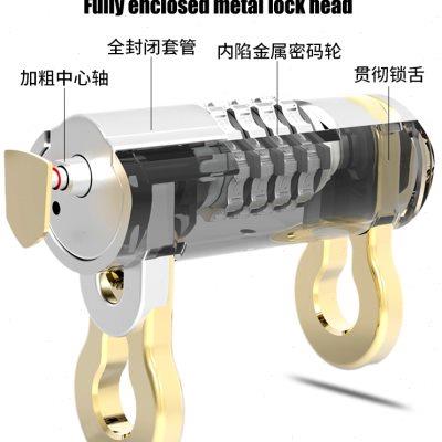 ETOOK密码锁链条锁自行车锁电动车密码链锁摩托车防盗锁 玻璃门锁