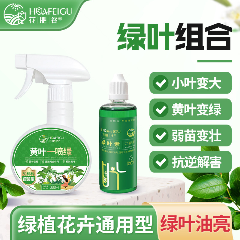 花肥谷绿叶素黄叶一喷绿绿叶组合