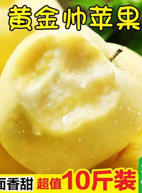 甘肃天水黄元帅苹果黄香蕉粉面苹果黄金帅老人婴儿刮泥苹果5/10斤