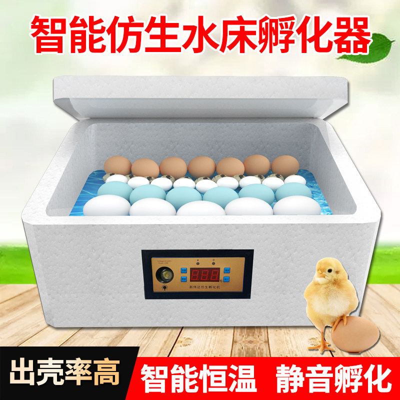 孵化器小型家用水床孵蛋器 鸭鹅家用孵化器 芦丁鸡泡沫小型孵化器