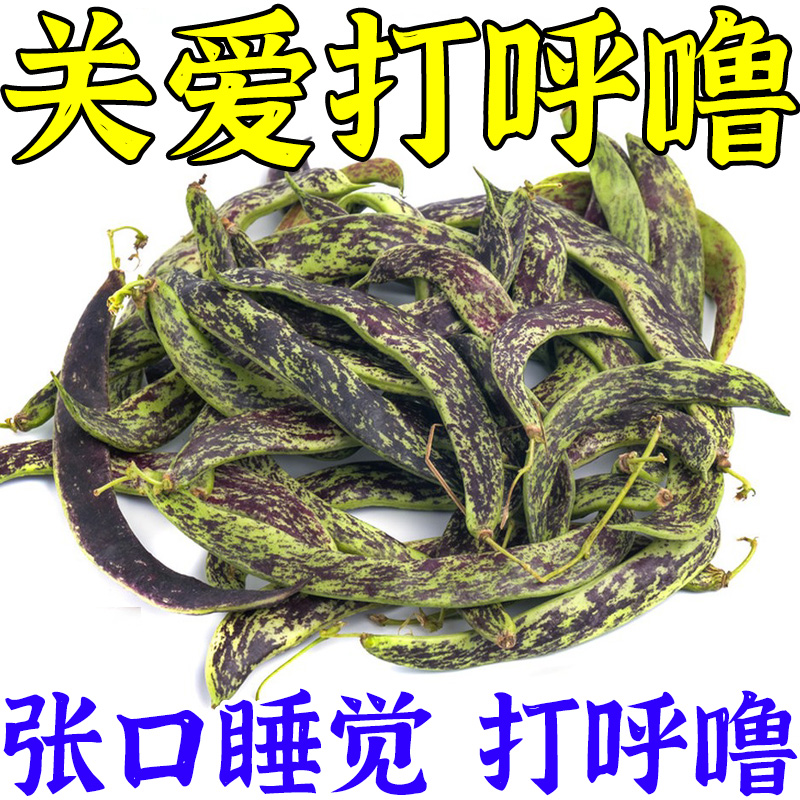 治打呼噜的专用贴药正品成人打呼噜睡觉张嘴磨牙呼噜贴根