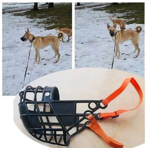 Adjustable Dog Muzzle Plastic Mask Anti-Barking Bite Mouth