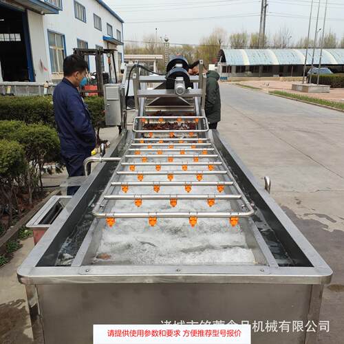 中药黄芬清洗机 玉米加工流水线 板栗全自动气泡清洗机