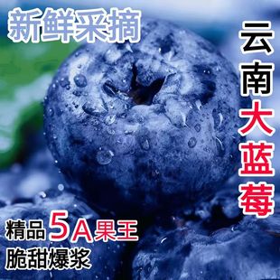 正宗云南蓝莓鲜果特大当季 高山L25花香新鲜水果孕妇怡颗蓝梅整箱