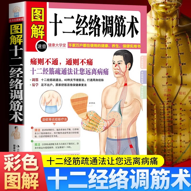 正版 图解十二经络调筋术 50种疾病对症的筋保健法 中医经络穴位按摩养生 家庭保健 家庭实用健康宝典 中医穴位养生畅销书籍gj