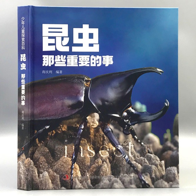 正版 精装 彩图 昆虫那些重要的事中国少年儿童探索百科 昆虫种类大百科绘本