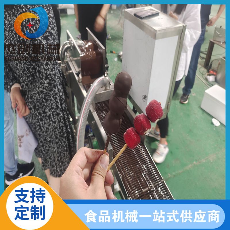 山楂串裹巧克力的机器 酸奶块涂层机器 全自动面包圈裹层机厂家