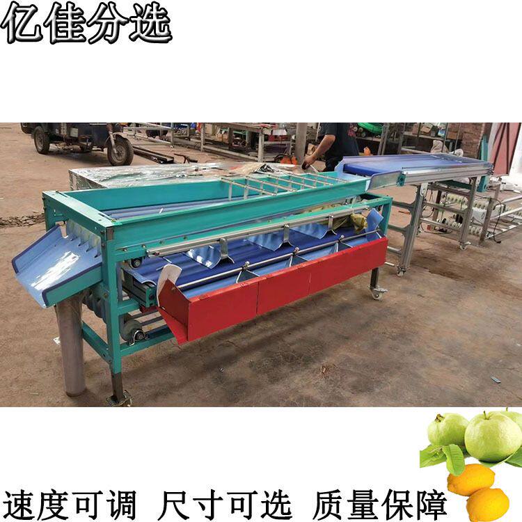 小型商用水果分选机 广西百色三华李选果机 皮带式果品分级机