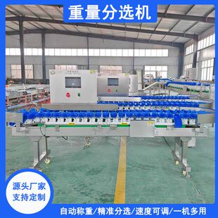 秋月梨重量分选机苹果转盘料盒式 重量分选机鱿鱼凤爪重量分选机