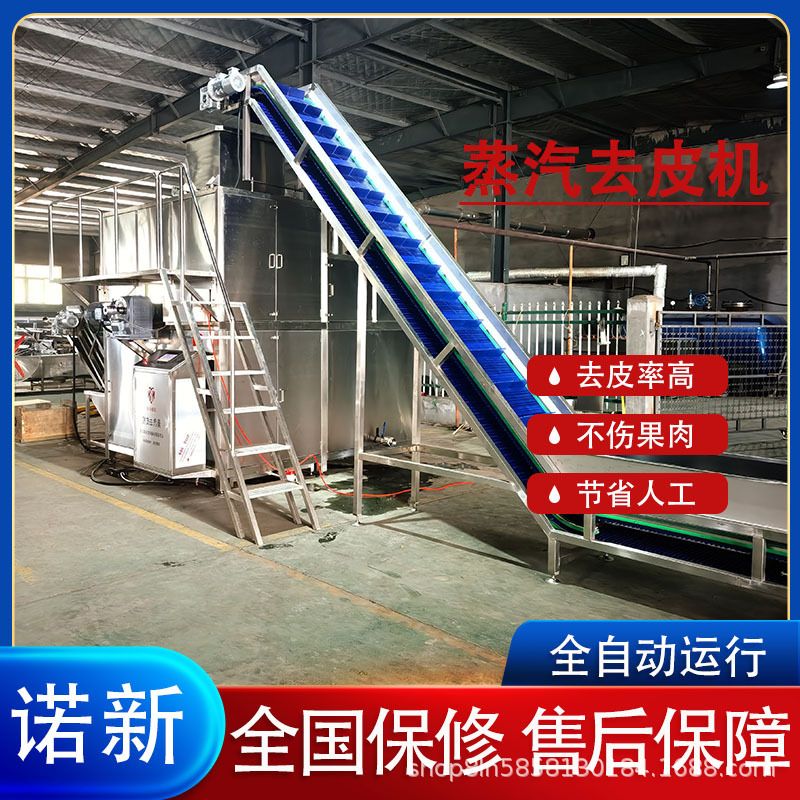 商用果蔬蒸汽去皮机 黄桃罐头加工设备 胡萝卜全自动化剥皮机