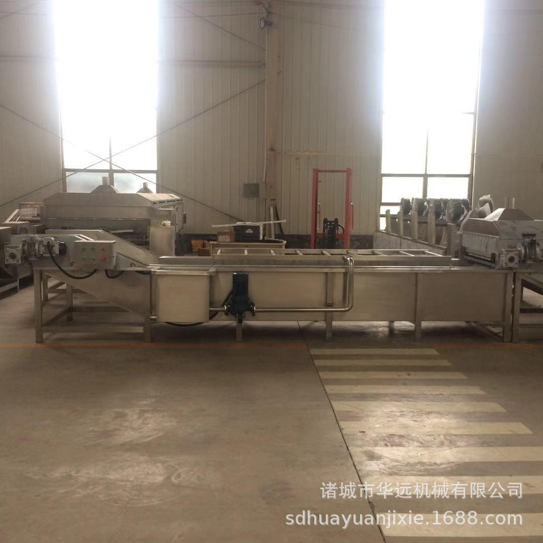 金针菇专业清洗设备筛板式果蔬清洗机不锈钢清洗机食品级