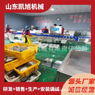 海蛎子重量分拣机马哈鱼检重分选机冻鱼分级机 精准分拣效率高
