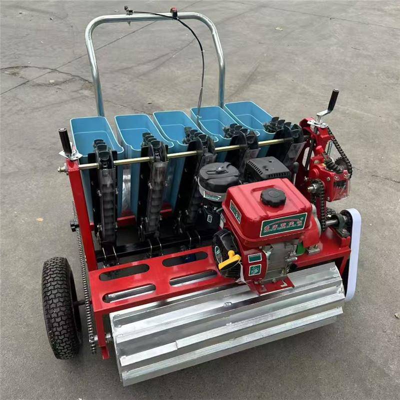 新款汽油机大蒜播种机自走式手推式种大蒜机子螺丝菜蚕豆播种机