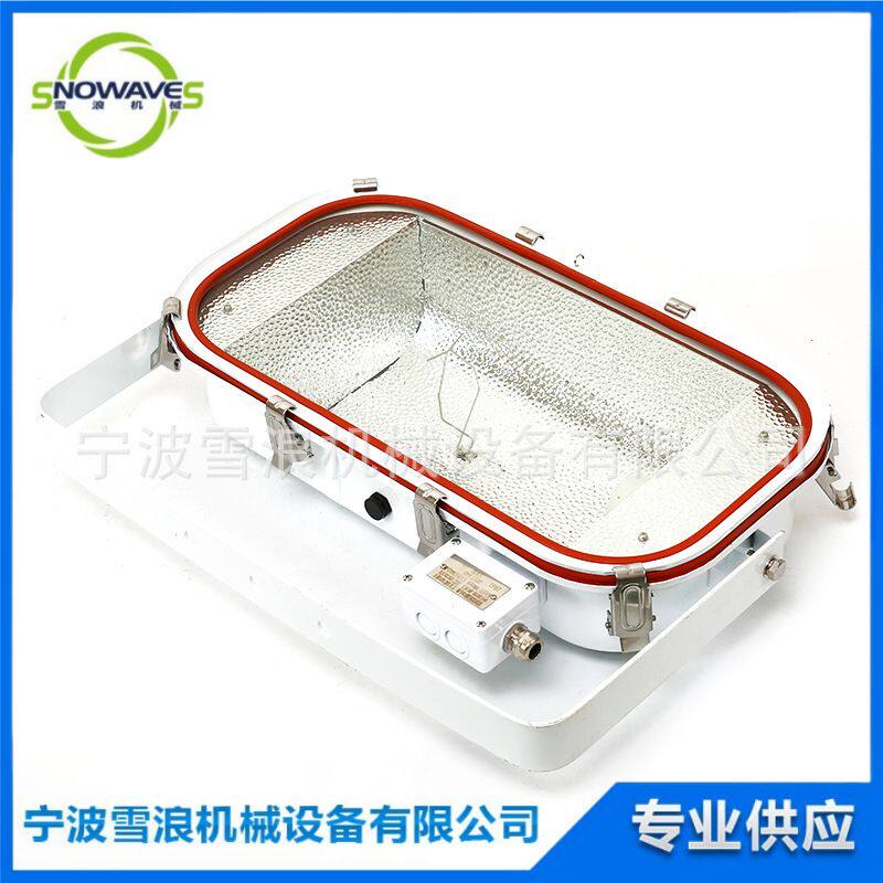 不锈钢高压钠灯1000W TG13船用投光灯 甲板照明灯具通道走廊灯