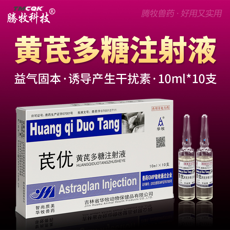 黄芪注射液调节机体免疫