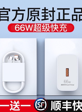 魅族66W充电器适用原装正品手机闪充18 18x 18s 18s pro17 17pro充电头快充16s 16th 15 plus 5A数据线Type-C
