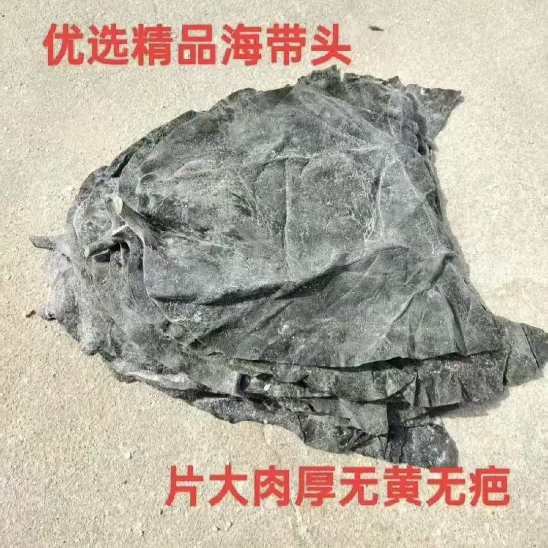今年新鲜厚实盐渍海带汤头