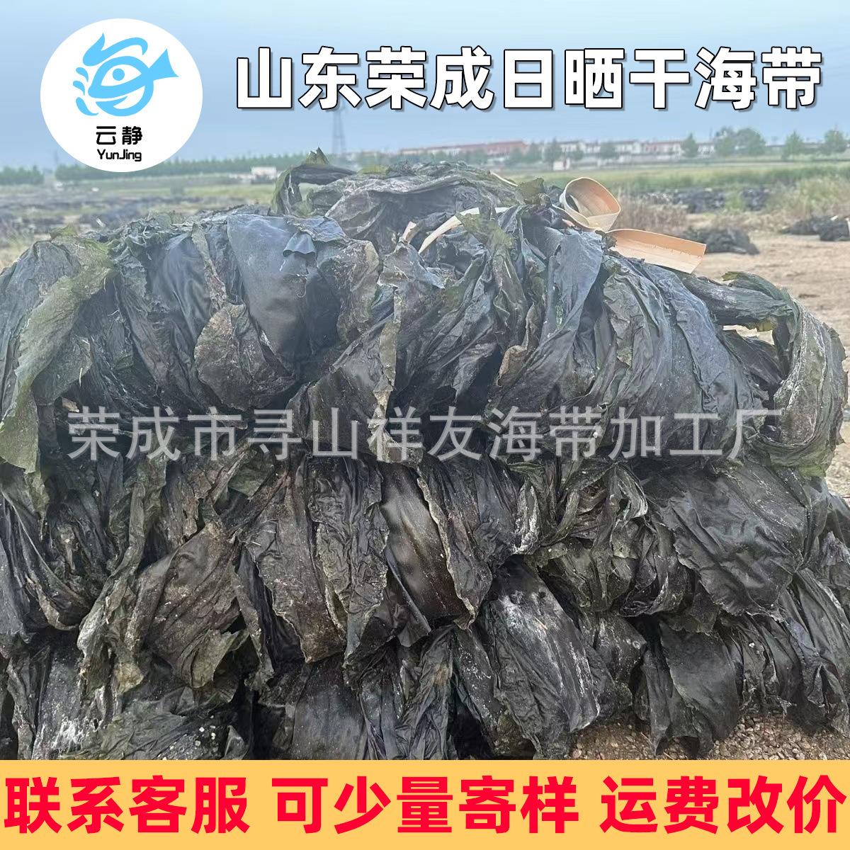 山东海带皮整条展销会地摊