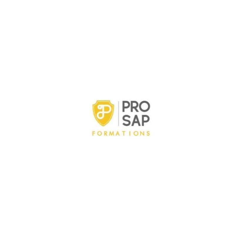PRO SAP 22.5 结构与工况分析软件 安装咨询服务