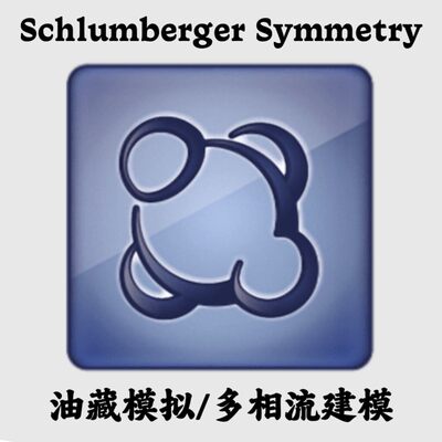 Schlumberger Symmetry 2025.2 油