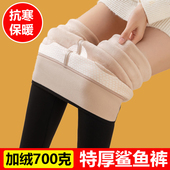 加绒女外穿东北加厚超厚裤 冬季 高腰收腹保暖无痕特厚打底裤 鲨鱼裤