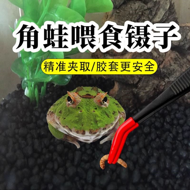 角蛙喂食镊子专用树蛙生态养殖青蛙新手粮食神器观察爬行宠物用品
