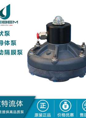 DEBEM膜片式脉动阻尼器 计量泵附件 隔膜式脉冲阻尼器