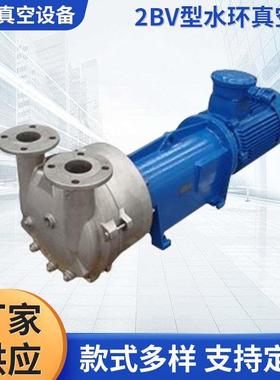 厂家直销2BV61水环真空泵
