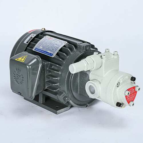 铸铁齿轮泵油泵电机1HP+TK150电动抽油转子泵厂家