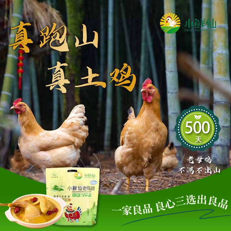 袋装安徽老母鸡小鲜仙