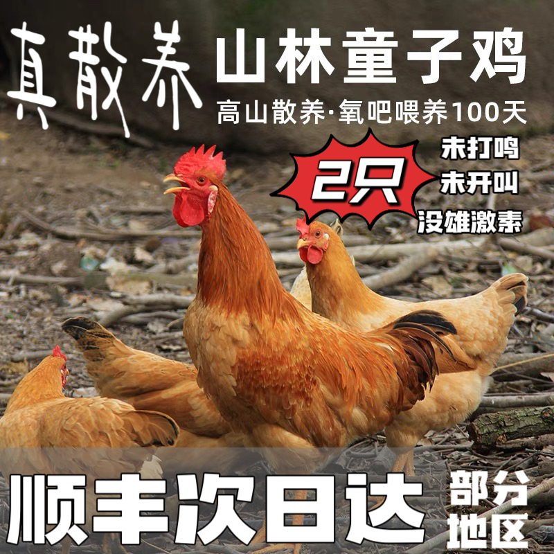 安徽省池州市新鲜现杀肉质鲜嫩
