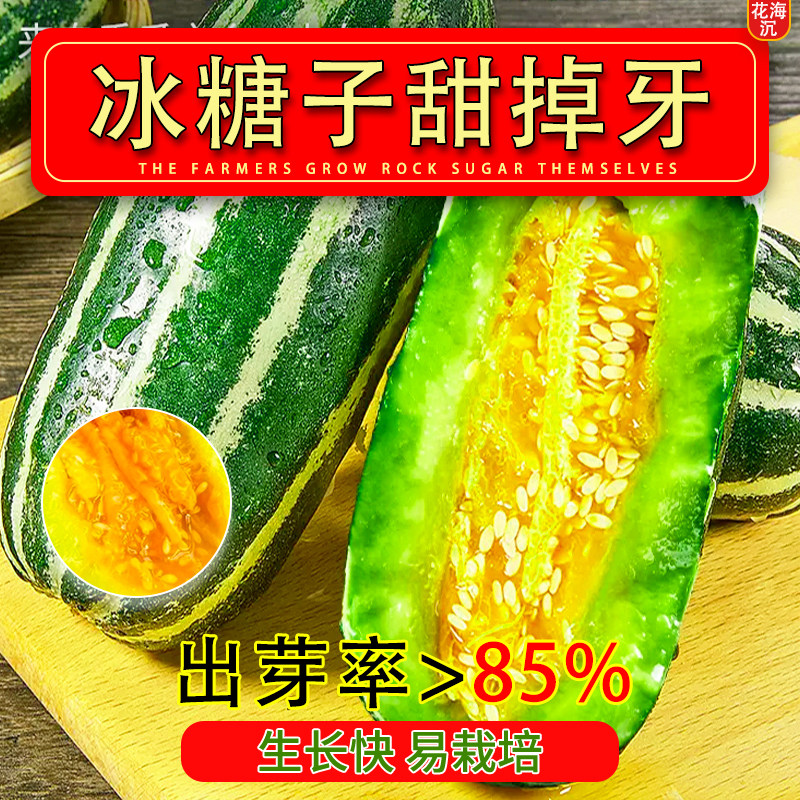 冰糖子甜掉牙甜瓜种子四季薄皮超甜花皮香瓜籽四季水果春夏秋种植