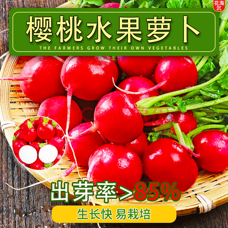 樱桃萝卜种子种籽子菜种菜籽罗卜大全盆栽四季水果萝卜小水孑籽种