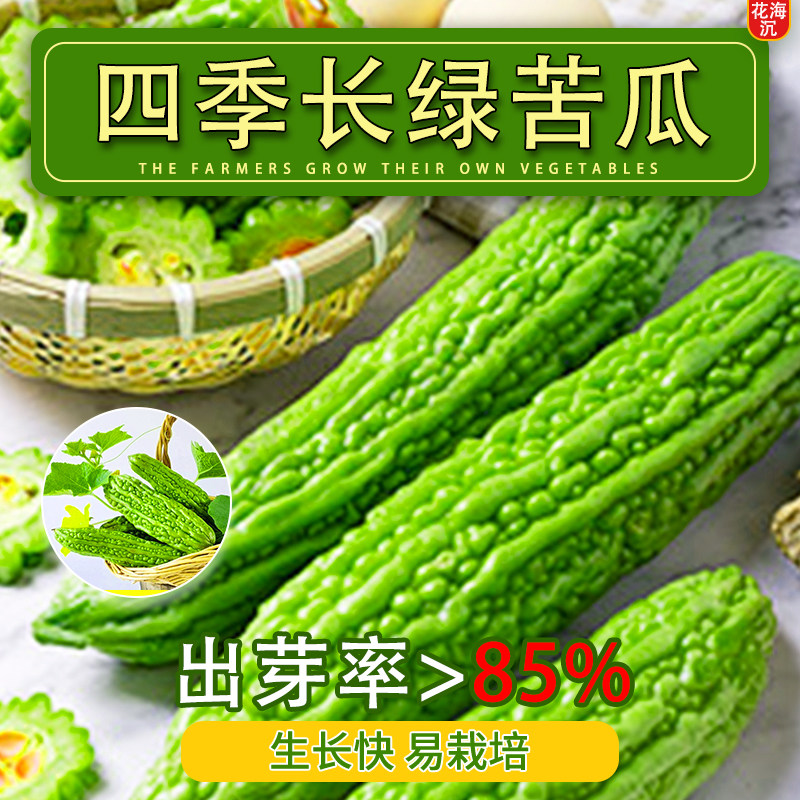 苦瓜种子高产早熟翠绿疙瘩青绿白苦瓜种籽春季四季播庭院蔬菜种孑