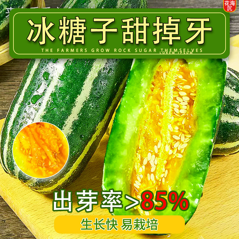 冰糖子甜掉牙甜瓜种子四季薄皮超甜花皮香瓜籽四季水果春夏秋种植