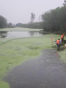 新款 坑塘拦污江河湖泊泡沫渔网水库清理湖泊河水河道水面水草水葫