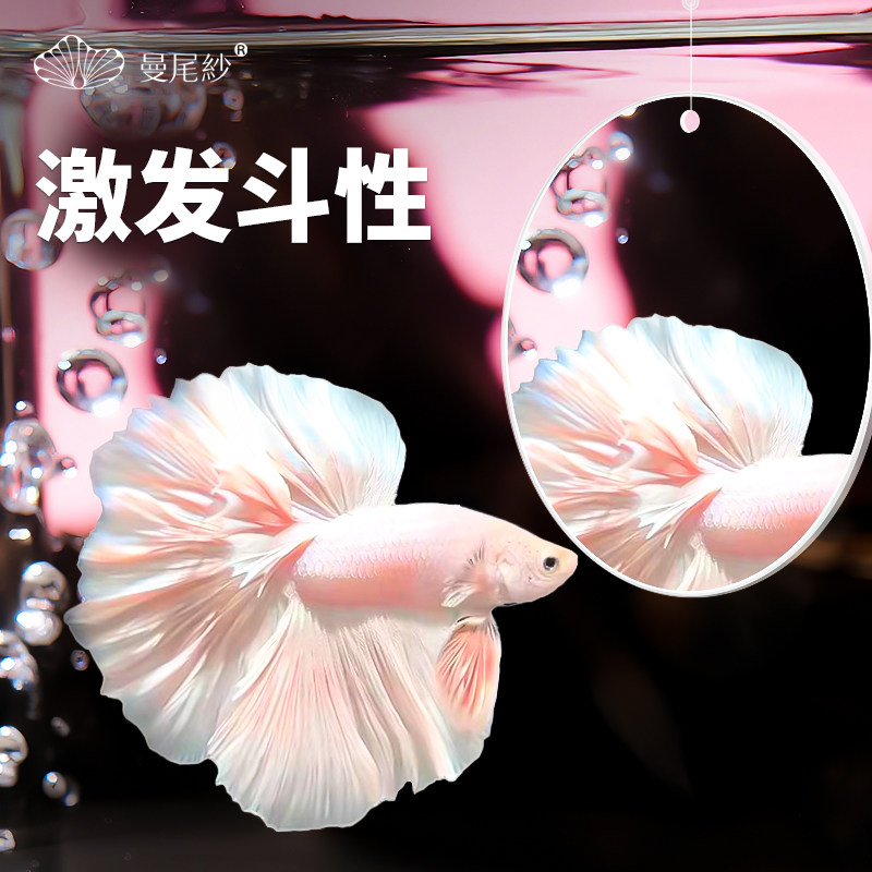 曼尾纱泰国斗鱼专用训练镜子互动桌面鱼龟缸小型造景摆件装饰布景