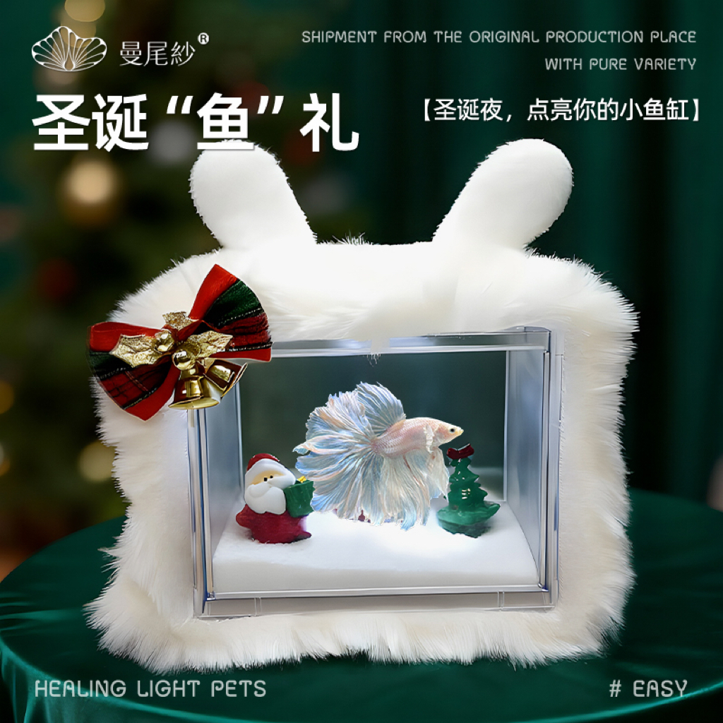 曼尾纱泰国斗鱼观赏金鱼苗圣诞礼物小型鱼缸毛衣套餐恒温造景摆件
