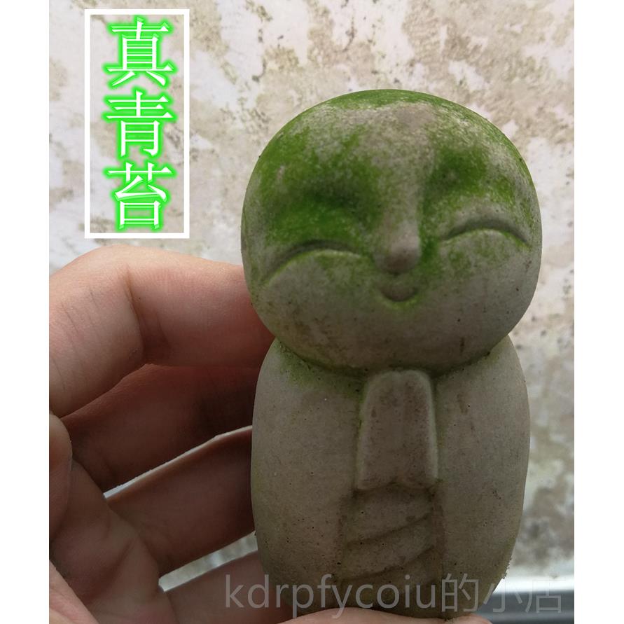 正品日式良地你藏小和缘尚可爱迷袖禅意盆景苔藓青摆件造景珍鱼缸