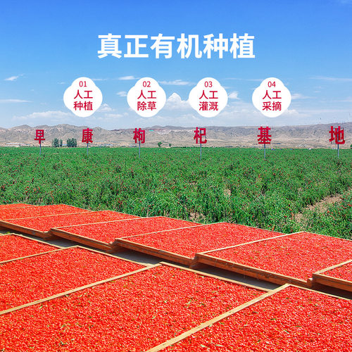 早康中宁有机枸杞新货特优枸杞宁夏枸杞500g原料有机基地