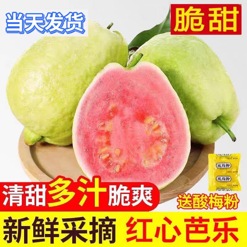 芭乐番石榴水果清甜一年四季红心巴乐送酸梅粉现摘香甜脆甜树上熟