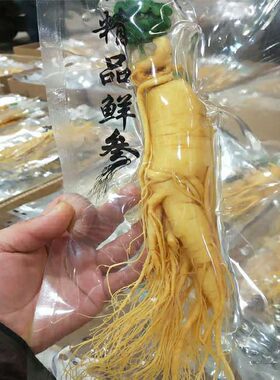 人参长白山保鲜人参小支单只独立真空包装源自长白山泡酒 煲汤