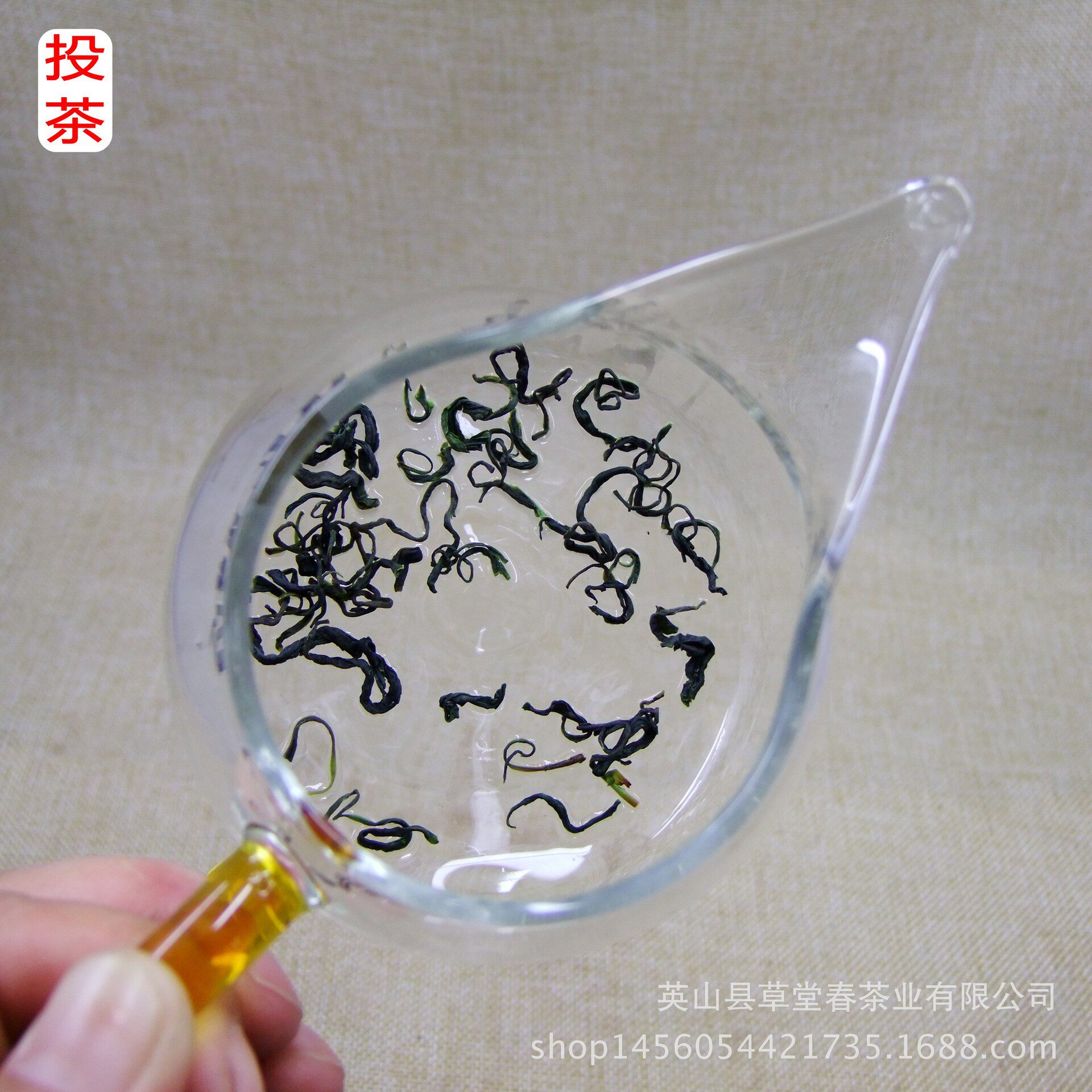 新茶雨前春茶云雾绿茶高山炒青绿茶湖北茶叶香茶原产地散装