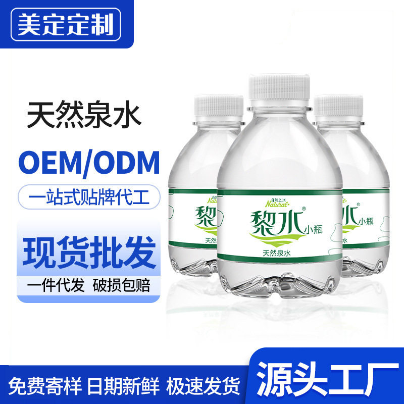 黎水238ml*10瓶饮用天然非矿泉水小瓶整箱批发招待瓶纯净水商用
