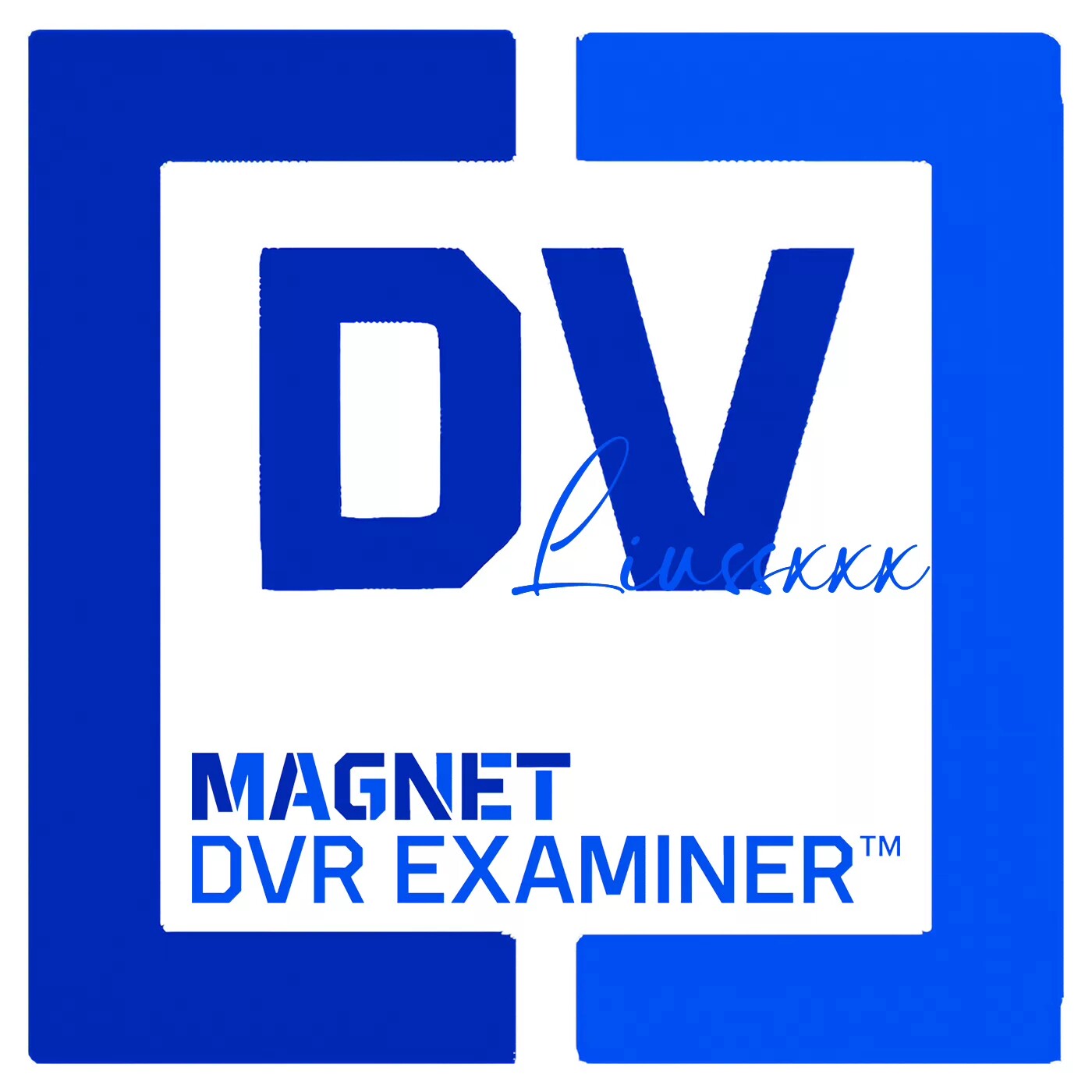 Magnet DVR Examiner 3.23.0 激活版 数字监控视频取证提取恢复工
