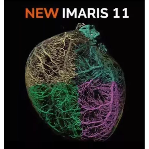 Imaris 11 最新版本激光共聚焦三维重构图像处理软件