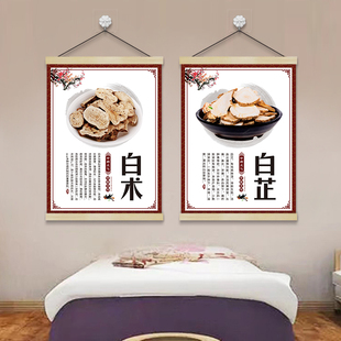 饰挂画挂图挂布中药房养生馆理疗店中药文化卷轴画 中草药材介绍装