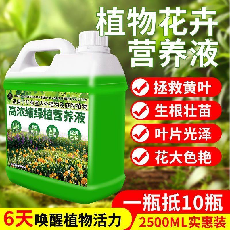 【大瓶】高倍浓缩营养液通用型养花肥料绿植花卉盆栽发财树富贵竹,鲜花速递/花卉仿真/绿植园艺,家庭园艺肥料,淘宝优惠券,粉丝福利购,淘宝优惠卷
